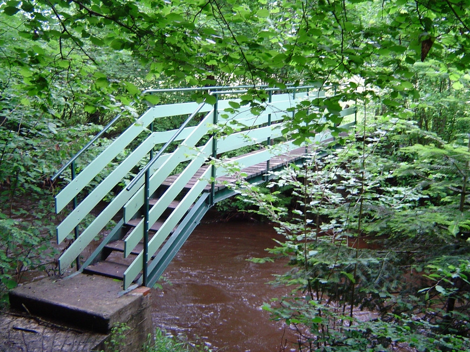 passerelle_s5601.jpg